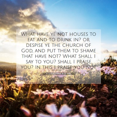 Picture 07 - 1 Corinthians 11:22 ASV - What, have ye not houses to eat and to drink in? - Bible Verse Picture
