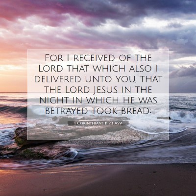 Picture 07 - 1 Corinthians 11:23 ASV - For I received of the Lord that which also I - Bible Verse Picture
