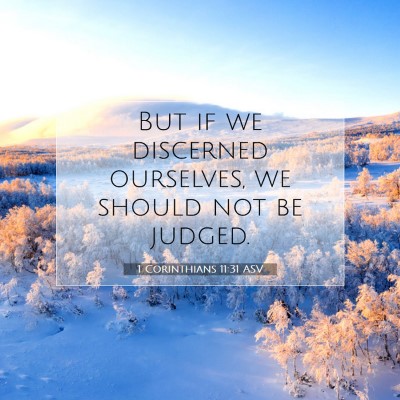 Picture 07 - 1 Corinthians 11:31 ASV - But if we discerned ourselves, we should not be - Bible Verse Picture