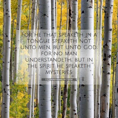 Picture 07 - 1 Corinthians 14:2 ASV - For he that speaketh in a tongue speaketh not - Bible Verse Picture