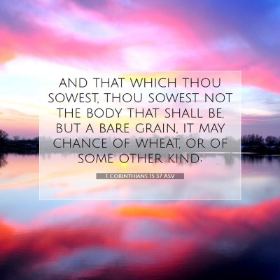 Picture 07 - 1 Corinthians 15:37 ASV - and that which thou sowest, thou sowest not the - Bible Verse Picture
