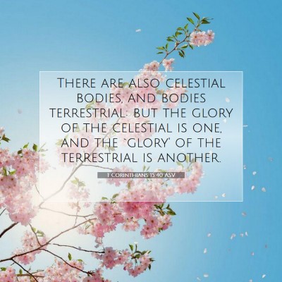 Picture 07 - 1 Corinthians 15:40 ASV - There are also celestial bodies, and bodies - Bible Verse Picture