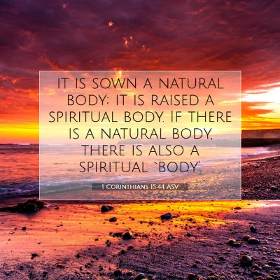 Picture 07 - 1 Corinthians 15:44 ASV - it is sown a natural body; it is raised a - Bible Verse Picture