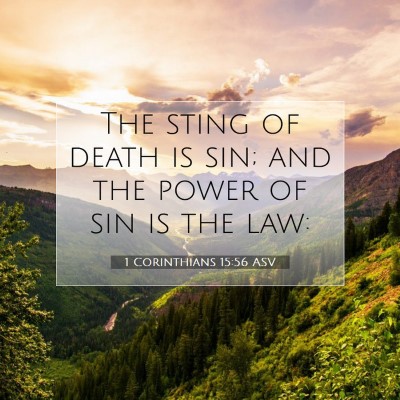 Picture 07 - 1 Corinthians 15:56 ASV - The sting of death is sin; and the power of sin - Bible Verse Picture