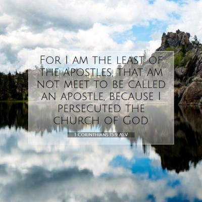 Picture 07 - 1 Corinthians 15:9 ASV - For I am the least of the apostles, that am not - Bible Verse Picture