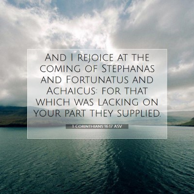 Picture 07 - 1 Corinthians 16:17 ASV - And I rejoice at the coming of Stephanas and - Bible Verse Picture