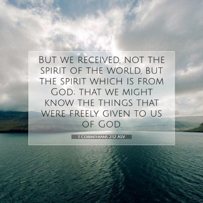 Picture 07 - 1 Corinthians 2:12 ASV - But we received, not the spirit of the world, but - Bible Verse Picture