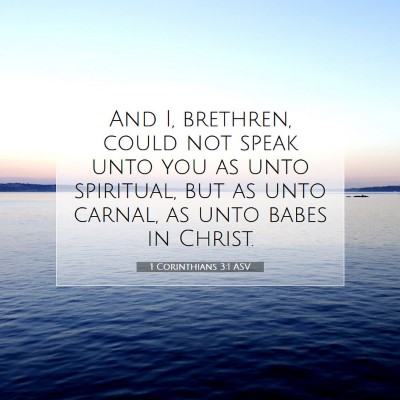 Picture 07 - 1 Corinthians 3:1 ASV - And I, brethren, could not speak unto you as unto - Bible Verse Picture