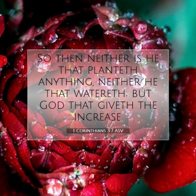 Picture 07 - 1 Corinthians 3:7 ASV - So then neither is he that planteth anything, - Bible Verse Picture