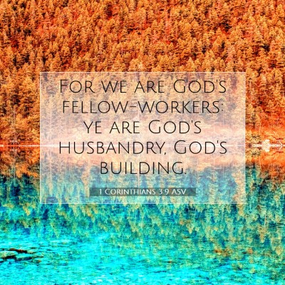 Picture 07 - 1 Corinthians 3:9 ASV - For we are God's fellow-workers: ye are God's - Bible Verse Picture