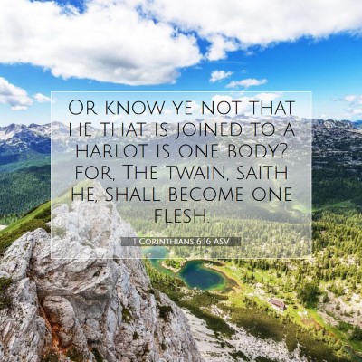 Picture 07 - 1 Corinthians 6:16 ASV - Or know ye not that he that is joined to a harlot - Bible Verse Picture