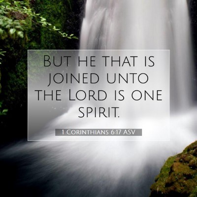 Picture 07 - 1 Corinthians 6:17 ASV - But he that is joined unto the Lord is one - Bible Verse Picture