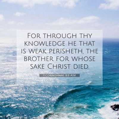 Picture 07 - 1 Corinthians 8:11 ASV - For through thy knowledge he that is weak - Bible Verse Picture