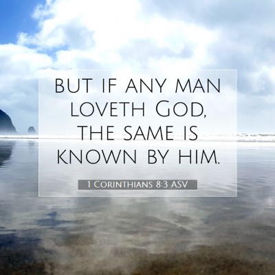 Picture 07 - 1 Corinthians 8:3 ASV - but if any man loveth God, the same is known by - Bible Verse Picture