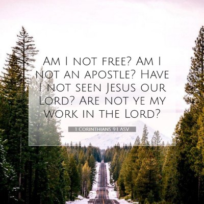 Picture 07 - 1 Corinthians 9:1 ASV - Am I not free? Am I not an apostle? Have I not - Bible Verse Picture