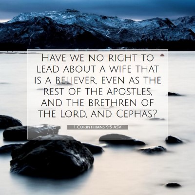 Picture 07 - 1 Corinthians 9:5 ASV - Have we no right to lead about a wife that is a - Bible Verse Picture