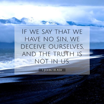 Picture 07 - 1 John 1:8 ASV - If we say that we have no sin, we deceive - Bible Verse Picture