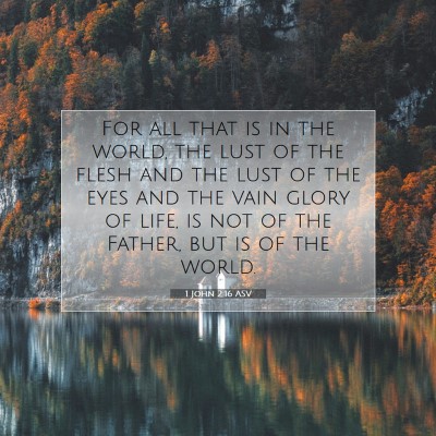 Picture 07 - 1 John 2:16 ASV - For all that is in the world, the lust of the - Bible Verse Picture