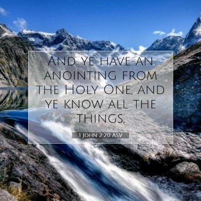 Picture 07 - 1 John 2:20 ASV - And ye have an anointing from the Holy One, and - Bible Verse Picture