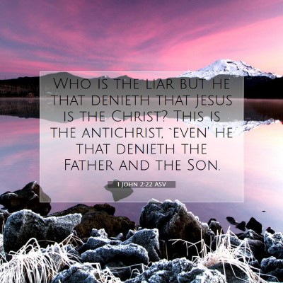 Picture 07 - 1 John 2:22 ASV - Who is the liar but he that denieth that Jesus is - Bible Verse Picture