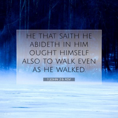 Picture 07 - 1 John 2:6 ASV - he that saith he abideth in him ought himself - Bible Verse Picture
