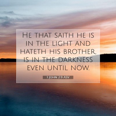 Picture 07 - 1 John 2:9 ASV - He that saith he is in the light and hateth his - Bible Verse Picture