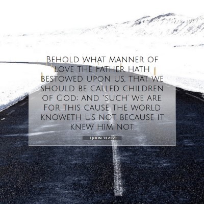 Picture 07 - 1 John 3:1 ASV - Behold what manner of love the Father hath - Bible Verse Picture