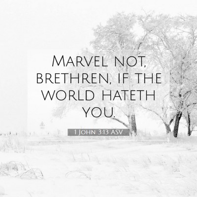 Picture 07 - 1 John 3:13 ASV - Marvel not, brethren, if the world hateth - Bible Verse Picture