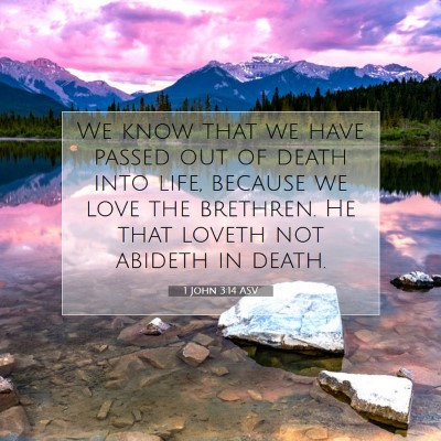 Picture 07 - 1 John 3:14 ASV - We know that we have passed out of death into - Bible Verse Picture