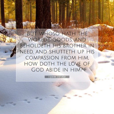 Picture 07 - 1 John 3:17 ASV - But whoso hath the world's goods, and beholdeth - Bible Verse Picture