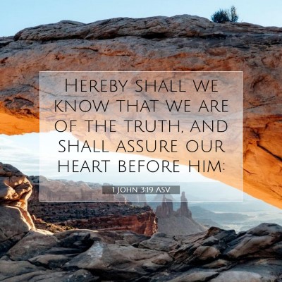 Picture 07 - 1 John 3:19 ASV - Hereby shall we know that we are of the truth, - Bible Verse Picture