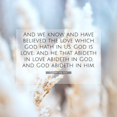 Picture 07 - 1 John 4:16 ASV - And we know and have believed the love which God - Bible Verse Picture