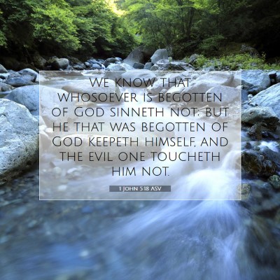 Picture 07 - 1 John 5:18 ASV - We know that whosoever is begotten of God sinneth - Bible Verse Picture