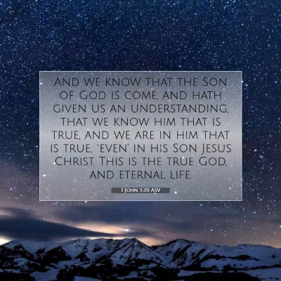 Picture 07 - 1 John 5:20 ASV - And we know that the Son of God is come, and hath - Bible Verse Picture