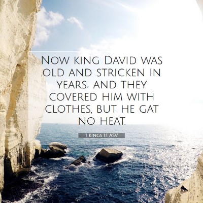 Picture 07 - 1 Kings 1:1 ASV - Now king David was old and stricken in years; and - Bible Verse Picture