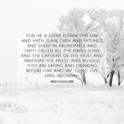 Picture 07 - 1 Kings 1:25 ASV - For he is gone down this day, and hath slain oxen - Bible Verse Picture