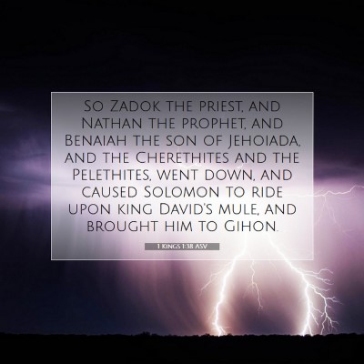 Picture 07 - 1 Kings 1:38 ASV - So Zadok the priest, and Nathan the prophet, and - Bible Verse Picture