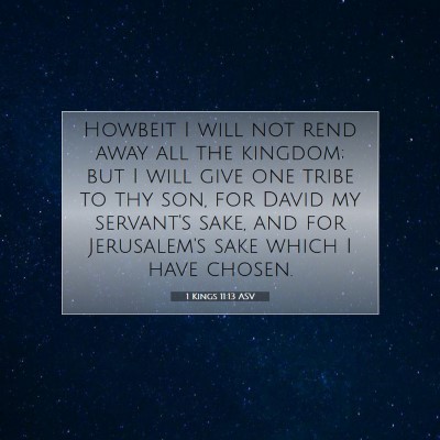 Picture 07 - 1 Kings 11:13 ASV - Howbeit I will not rend away all the kingdom; but - Bible Verse Picture