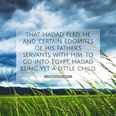 Picture 07 - 1 Kings 11:17 ASV - that Hadad fled, he and certain Edomites of his - Bible Verse Picture