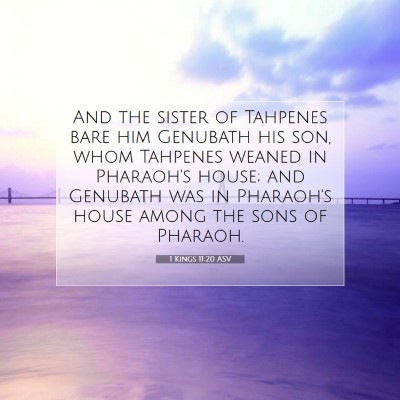 Picture 07 - 1 Kings 11:20 ASV - And the sister of Tahpenes bare him Genubath his - Bible Verse Picture