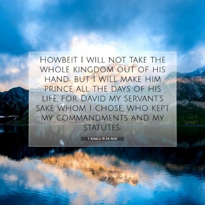 Picture 07 - 1 Kings 11:34 ASV - Howbeit I will not take the whole kingdom out of - Bible Verse Picture