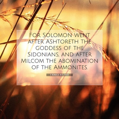 Picture 07 - 1 Kings 11:5 ASV - For Solomon went after Ashtoreth the goddess of - Bible Verse Picture
