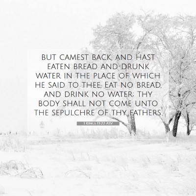 Picture 07 - 1 Kings 13:22 ASV - but camest back, and hast eaten bread and drunk - Bible Verse Picture