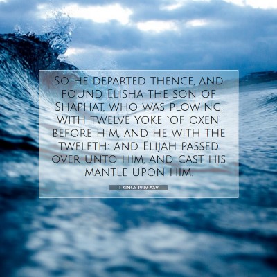 Picture 07 - 1 Kings 19:19 ASV - So he departed thence, and found Elisha the son - Bible Verse Picture