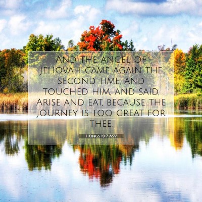 Picture 07 - 1 Kings 19:7 ASV - And the angel of Jehovah came again the second - Bible Verse Picture