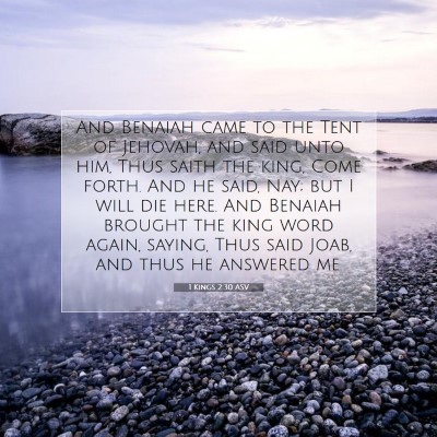Picture 07 - 1 Kings 2:30 ASV - And Benaiah came to the Tent of Jehovah, and said - Bible Verse Picture
