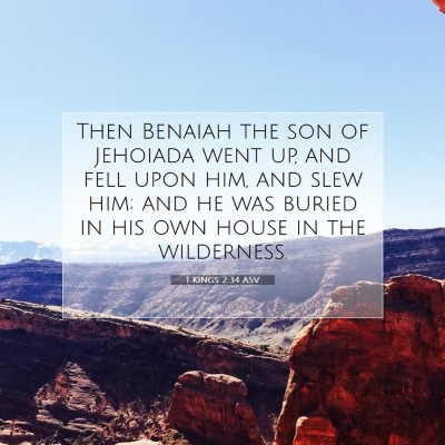 Picture 07 - 1 Kings 2:34 ASV - Then Benaiah the son of Jehoiada went up, and - Bible Verse Picture