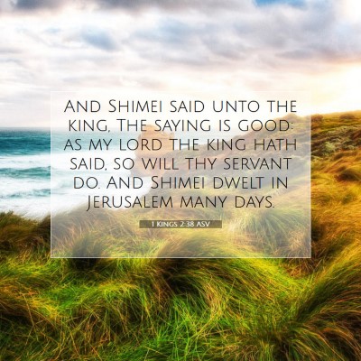 Picture 07 - 1 Kings 2:38 ASV - And Shimei said unto the king, The saying is - Bible Verse Picture