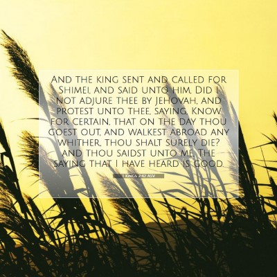 Picture 07 - 1 Kings 2:42 ASV - And the king sent and called for Shimei, and said - Bible Verse Picture