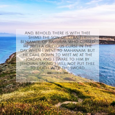 Picture 07 - 1 Kings 2:8 ASV - And, behold, there is with thee Shimei the son of - Bible Verse Picture